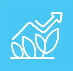 Drive Growth